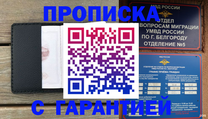 временная регистрация для всех в Мурино